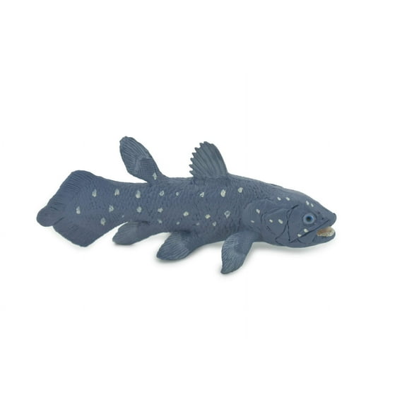 Coelacanth, Cretaceous Period, Museum Quality, Hand Painted, Rubber, Educational, Realistic, Lifelike, Toy, Kids, Gift, 5 1/2" CH688 BB173