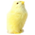 thumbnail image 2 of Simulación Lindo Peluche Pollito Juguete Pascua Realista Peludo Pollo Educación Temprana, 2 of 4