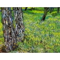thumbnail image 2 of Van Gogh, Vincent 14x12 White Modern Wood Framed Museum Art Print Titled - Pine Trees And Dandelions In The Garden Of Saint Paul Hospital 1890, 2 of 4