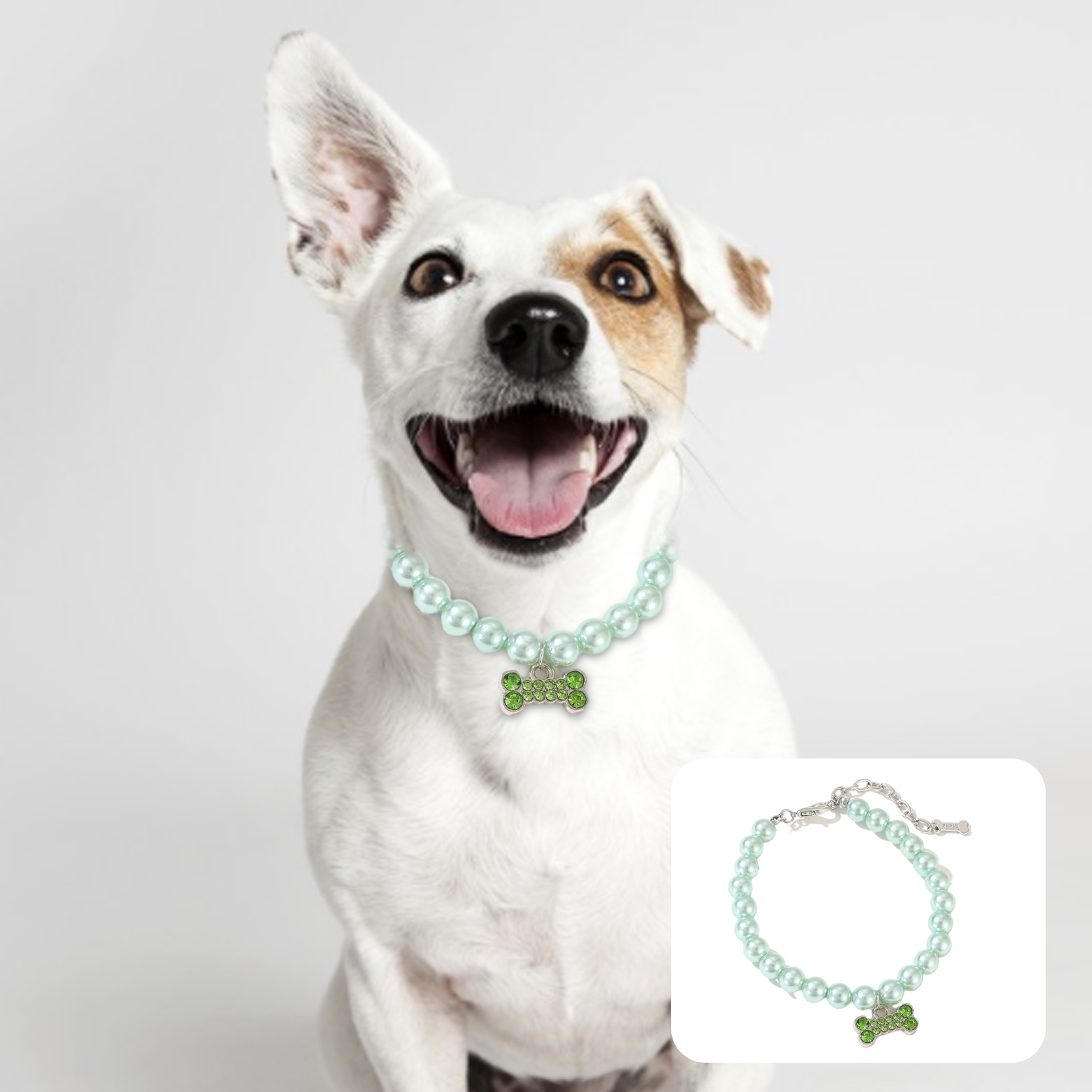 BargainGround Rhinestone Bling Crystal Leather Pet Collar With Bone Charm - Small Dog Cat