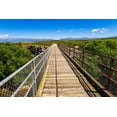 thumbnail image 2 of Bishop, Russ 24x17 Gold Ornate Wood Framed with Double Matting Museum Art Print Titled - The Manuherikia River bridge on the Otago Central Rail Trail-Otago-South Island-New Zealand, 2 of 4