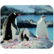 Yeuss Antarctic Pengu Mouse Pad Rectangular Non-Slip Mousepad, Cute and Interesting Penguin Parents Baby Wildlife