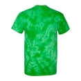 thumbnail image 3 of Paw Print Tie-Dye T-Shirt, 3 of 4