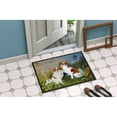 thumbnail image 4 of Carolines Treasures MH1061JMAT Japanese Chin Wasabi and Ginger Door Mat Indoor Rug or Outdoor Welcome Mat 24x36 Doormat, 4 of 4