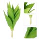 thumbnail image 4 of Suculenta artificial falsa, planta artificial, adorno para oficina y hogar., 4 of 6