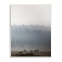 Stupell Industries Peaceful Fog Rural Landscape Woodlands Trees Clouds Wood Wall Art, 13 x 19, Design by Carol Robinson
