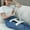 White, variant on Black Cell Phone Stand Holder for Bed,5 Heights and 360°Angle Adjustable Phone Stand for Desk,Lightweight Sturdy Phone Holder Easy Carry,Lazy Foldable Holder Compatible iPhone/iPad/Tablet