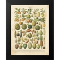 thumbnail image 2 of Babbitt, Gwendolyn 19x24 Black Modern Framed Museum Art Print Titled - French Fruit Chart, 2 of 5