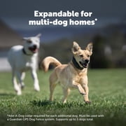 PetSafe Guardian GPS Fence for Dogs, Black