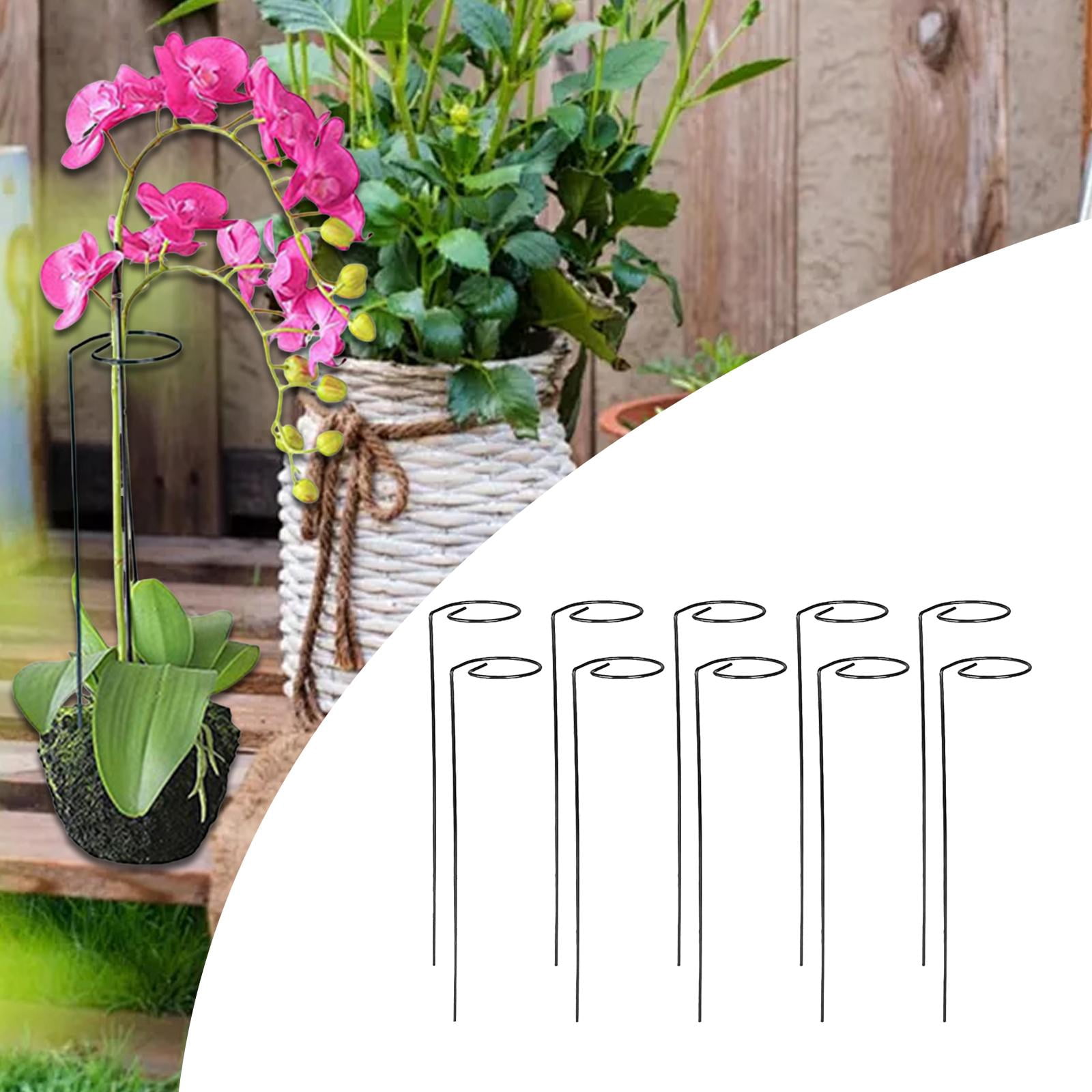 Zxpjkyu Climbing Plant Stakes Plant Support Towers Supplies Space Saving Easy to Install Straight 10pcs