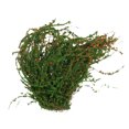 thumbnail image 3 of Yeacher 4PCS Miniature Scene Simulation Trees for Architectural Model Landscape Scenery Train Railway Sand Table Scenery, 3 of 8