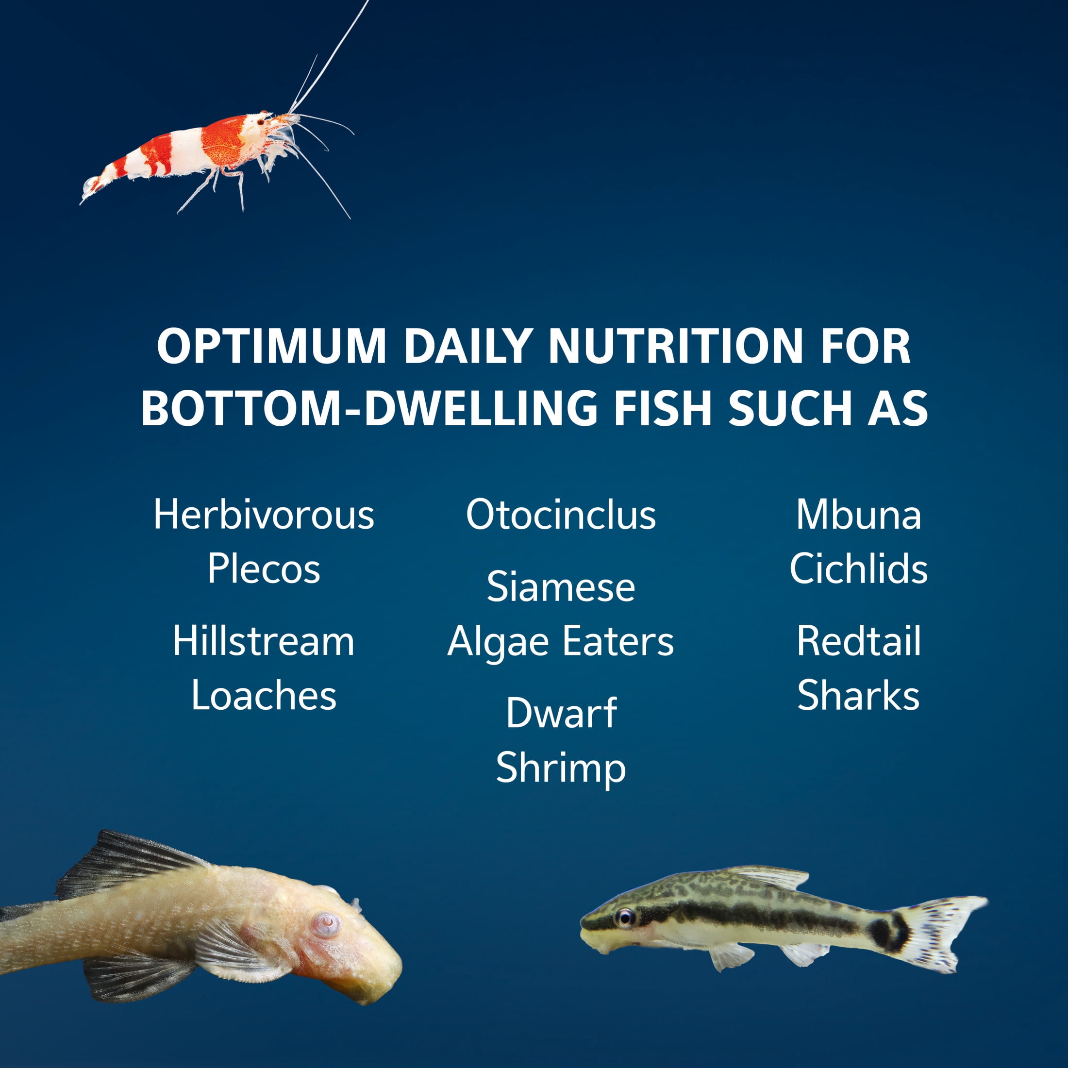 Aqueon Algae Rounds, Fish Food 5 Ounces