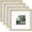 Distressed Wood Grain, variant on 8x8 Picture Frame Set of 4 Multicolor Solid Wood Frames Covered by Plexiglass, Display 4x4/6x6 Photo with Mat, Gallery Wall Picture Frames for Tabletop or Wall Mounting, Mixed Colors
