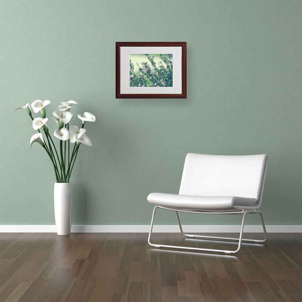 Trademark Fine Art "Memories of Summer" Framed Canvas Art by Beata Czyzowska Young