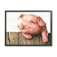 thumbnail image 5 of Stupell Industries Piglet on Wooden Fence Pink Farm Animal Grey Framed, 16 x 20, Design by George Dyachenko, 5 of 5