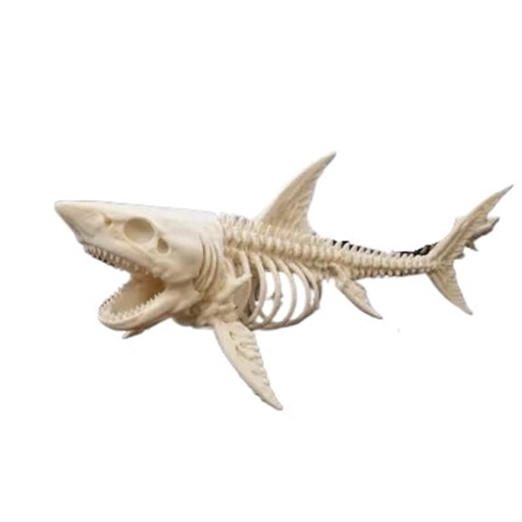 Great Shark Skeleton 3D Printed Desktop Decoration Figurine