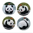 thumbnail image 3 of Bloques de construcción Coplanaire Flower Panda Mini 983 piezas, 3 of 6