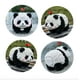 thumbnail image 3 of Bloques de construcción Coplanaire Flower Panda Mini 983 piezas, 3 of 6