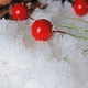 thumbnail image 5 of Nieve artificial en polvo para decoración navideña | Bolsa de 1 kg rinde 3 metros cuadrados | Nieve artificial realista para el hogar, tiendas y fiestas, 5 of 6