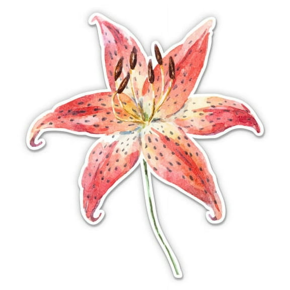 Watercolor Tiger Lily - 3" Vinyl Sticker - For Car Laptop I-Pad Phone Helmet Hard Hat - Waterproof Decal