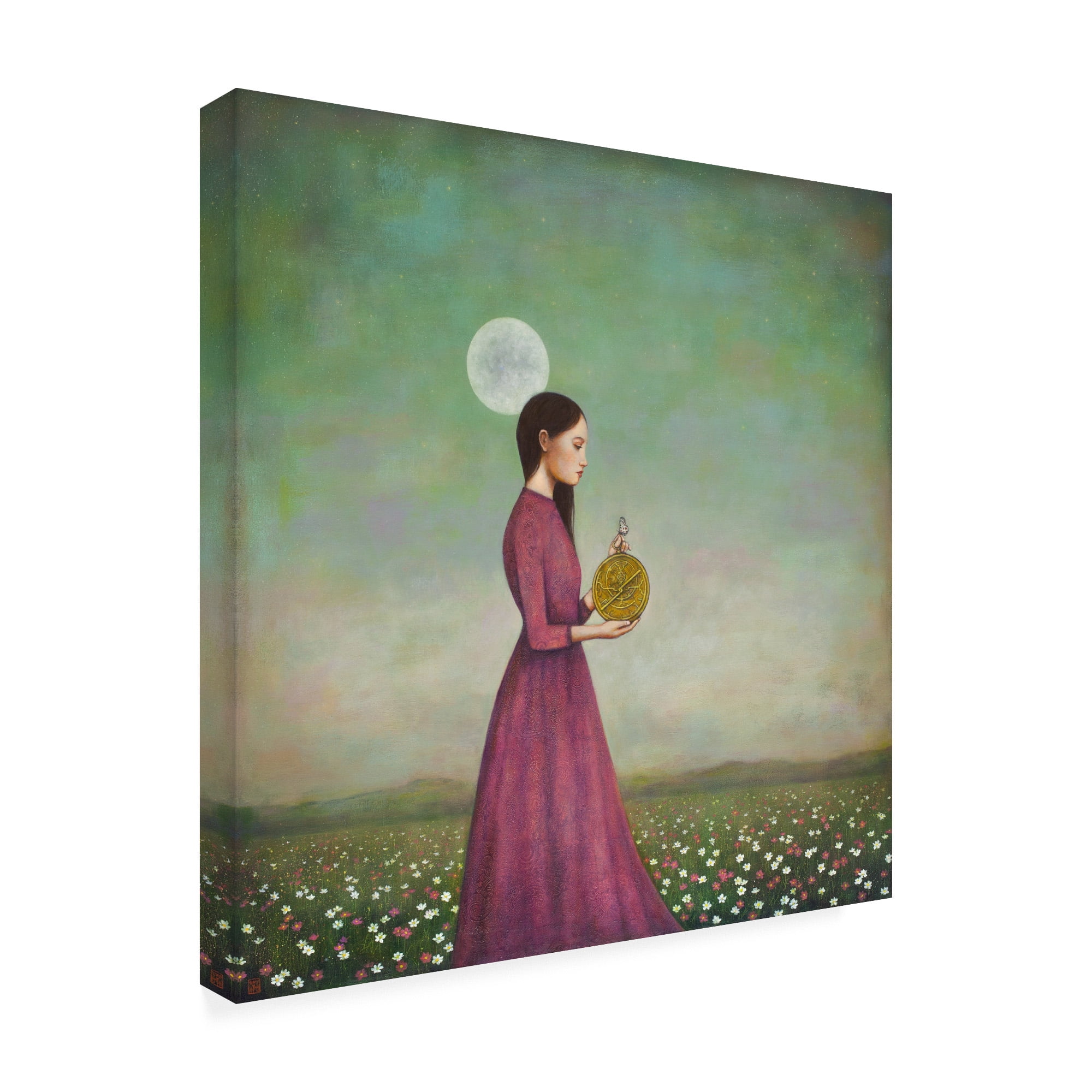 Trademark Fine Art 'Counting on the Cosmos' Canvas Art by Duy Huyn