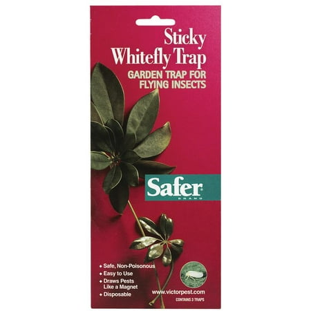 TRAP WHITEFLY STICKY EASY USE (Best Spray For Whitefly)