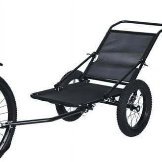 Allen Sports Deluxe 2-Child Bicycle Trailer & Stroller, AS2