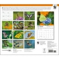 thumbnail image 2 of Calendar Ink, Butterflies WWF 2025 Wall Calendar, 2 of 4