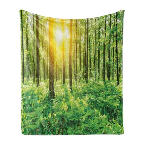 Woodland Soft Flannel Fleece Throw Blanket, Forest Springtime Freshness Theme Foliage Sunbeams Sunrise Nature View Scene, Cozy Plush for Indoor and Outdoor Use, 70" x 90", Green Yellow, by Ambesonne