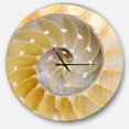 thumbnail image 1 of Designart 'Isolated Nautilus Shell ' Modern wall clock, 1 of 6