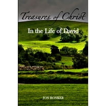 Treasures Of Christ In The Life Of David, (Paperback)