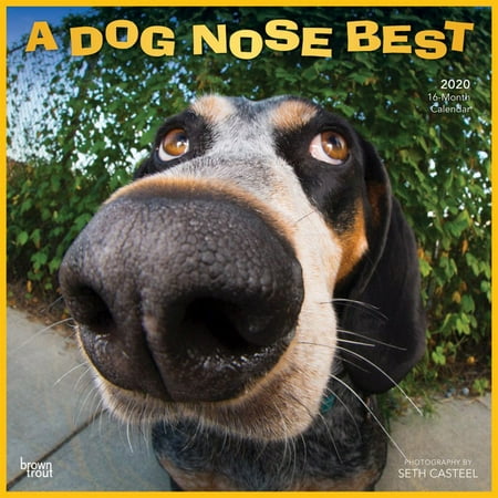 BrownTrout, 2020 Dog Nose Best Wall Calendar