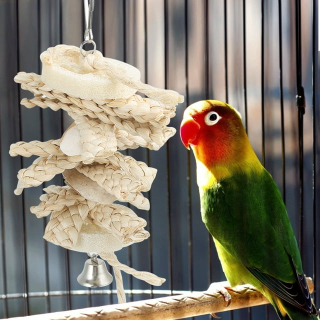 Juguete para masticar pájaros, colgante, cáscara de maíz Natural, lufa, juguete para morder, para Agapornis