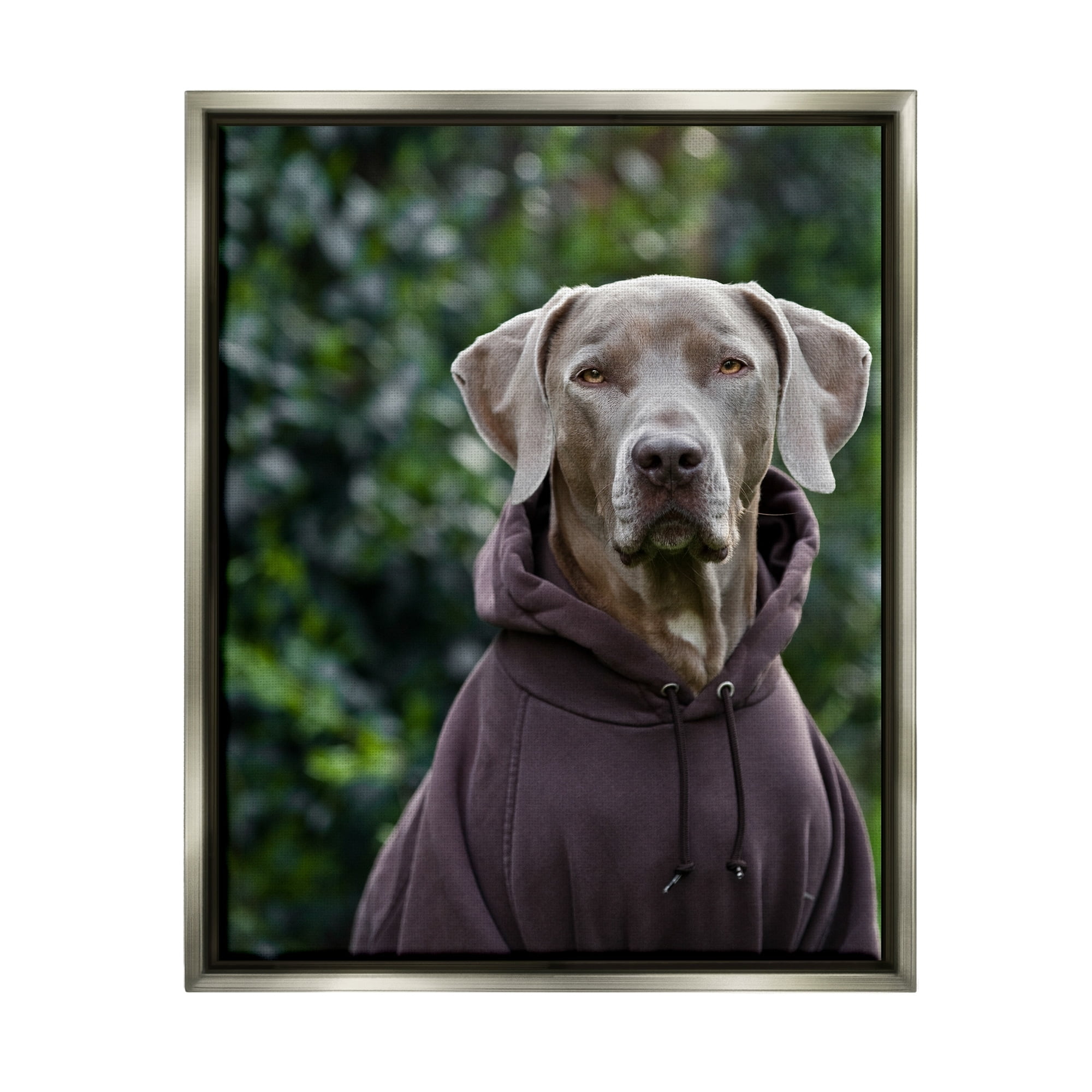 Stupell Industries Labrador Dog Wearing Sweatshirt Hoodie Detailed Photography Photograph Luster Gray Floating Framed Canvas Print Wall Art, Design by Michael Brian
