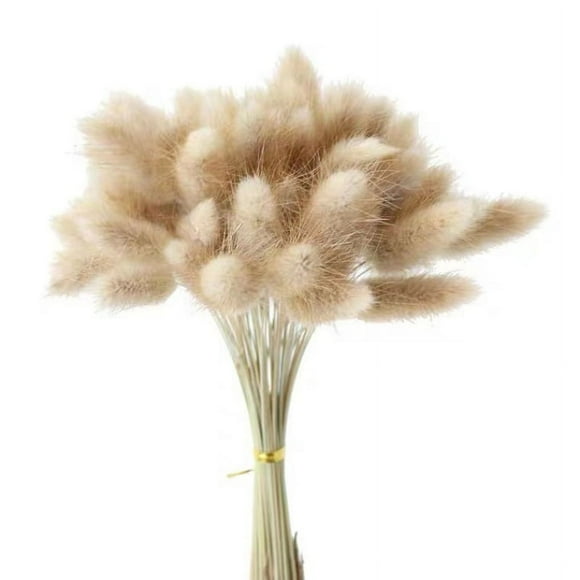 Natural Dried Pampas Grass, Natural Pampas Dried Flowers, Perfect for Home Decor, Boho Decor and Wedding Flower Arrangements