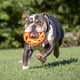 thumbnail image 3 of Juguete Chuckit! Breathe Right Fetch Wheel naranja para Perros, 3 of 9