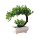 thumbnail image 2 of Plantas Decorativas En Macetas, Flores de Imitación, Muebles de Interior para El Hogar, Arreglos para La Mesa Del Comedor, Mueble de Tv para La Sala de Estar, Plantas En Macetas., 2 of 6