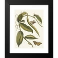 thumbnail image 2 of Maria Sibylla Merian 11x14 Black Modern Framed Museum Art Print Titled - For Bani (1705), 2 of 5
