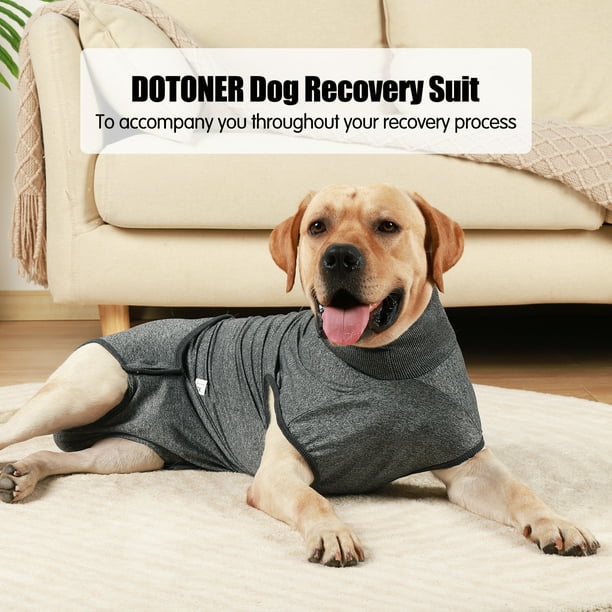 Dog Recovery Suit Surgery Dog Onesie Cone Alternatives Spay Neuter Suit  Surgical Recovery Suit 