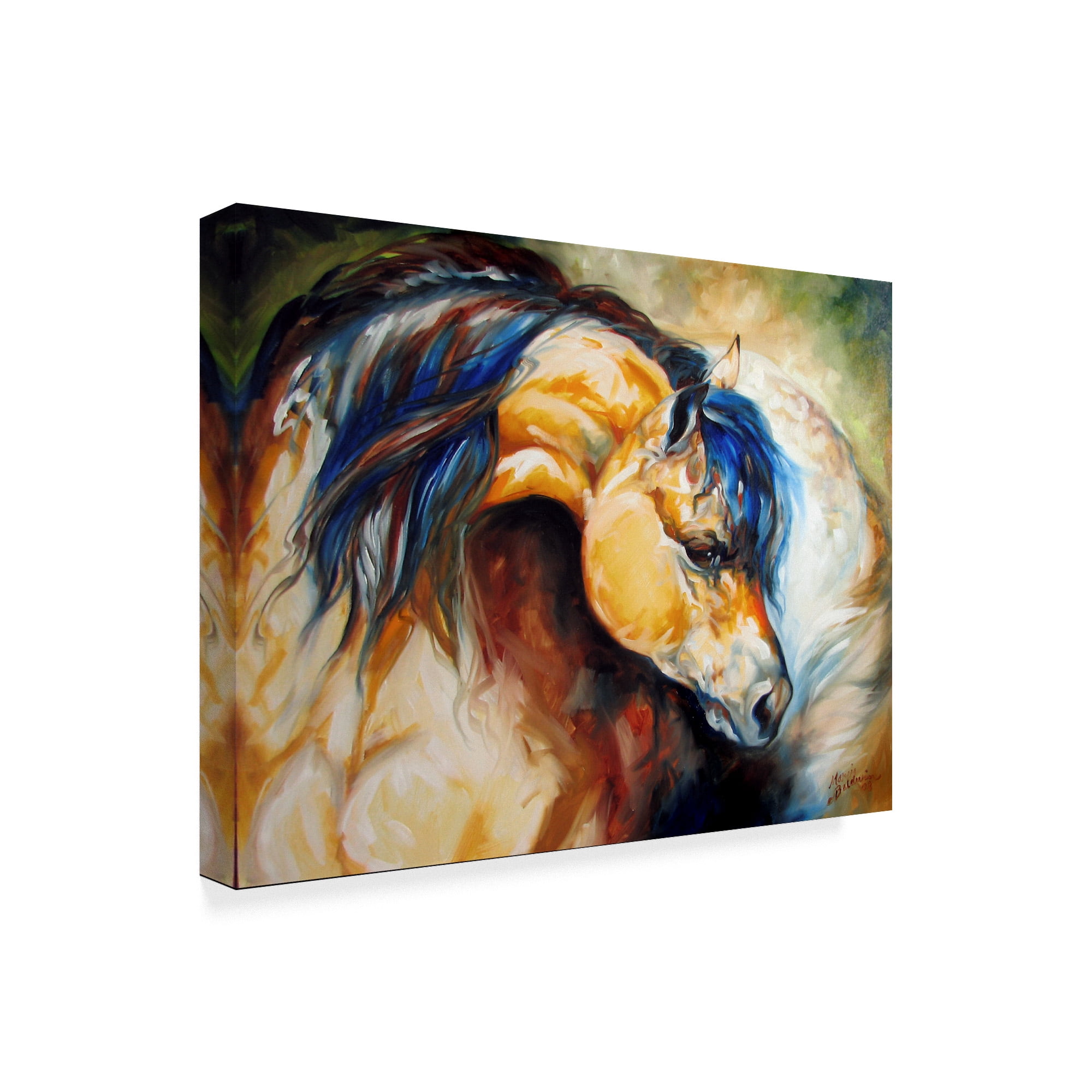 Trademark Fine Art 'The Buckskin' Canvas Art by Marcia Baldwin