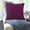 Dark Purple, variant on Ovzne New Velvet Embossed Pillow Double-Sided Different Pattern Cushion Cushion Cover