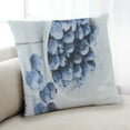 thumbnail image 1 of Ahgly Company Foods Blueberries Indoor Throw Pillow, 18 inch by 18 inch, 1 of 6