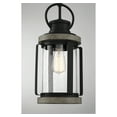 thumbnail image 6 of Parker 1-Light Outdoor Hanging Lantern in Lodge, 6 of 7