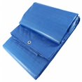 thumbnail image 5 of Toldo Reforzado Impermeable Lona Multiusos Con Ojales Seleccione medida - color :Azul - 2X3M. (Azul), 5 of 5