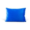 Good Night Dreamzzz Standard-Size Memory Foam Pillow, Blue
