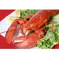 thumbnail image 2 of Large Lobster Dinner Restaurant Wall Mural by Wallmonkeys Peel and Stick Graphic (24 in W x 16 in H) WM283358, 2 of 4