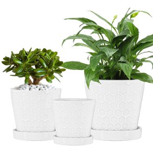 Modern Ceramic Planter Set, 3-Piece with Drainage