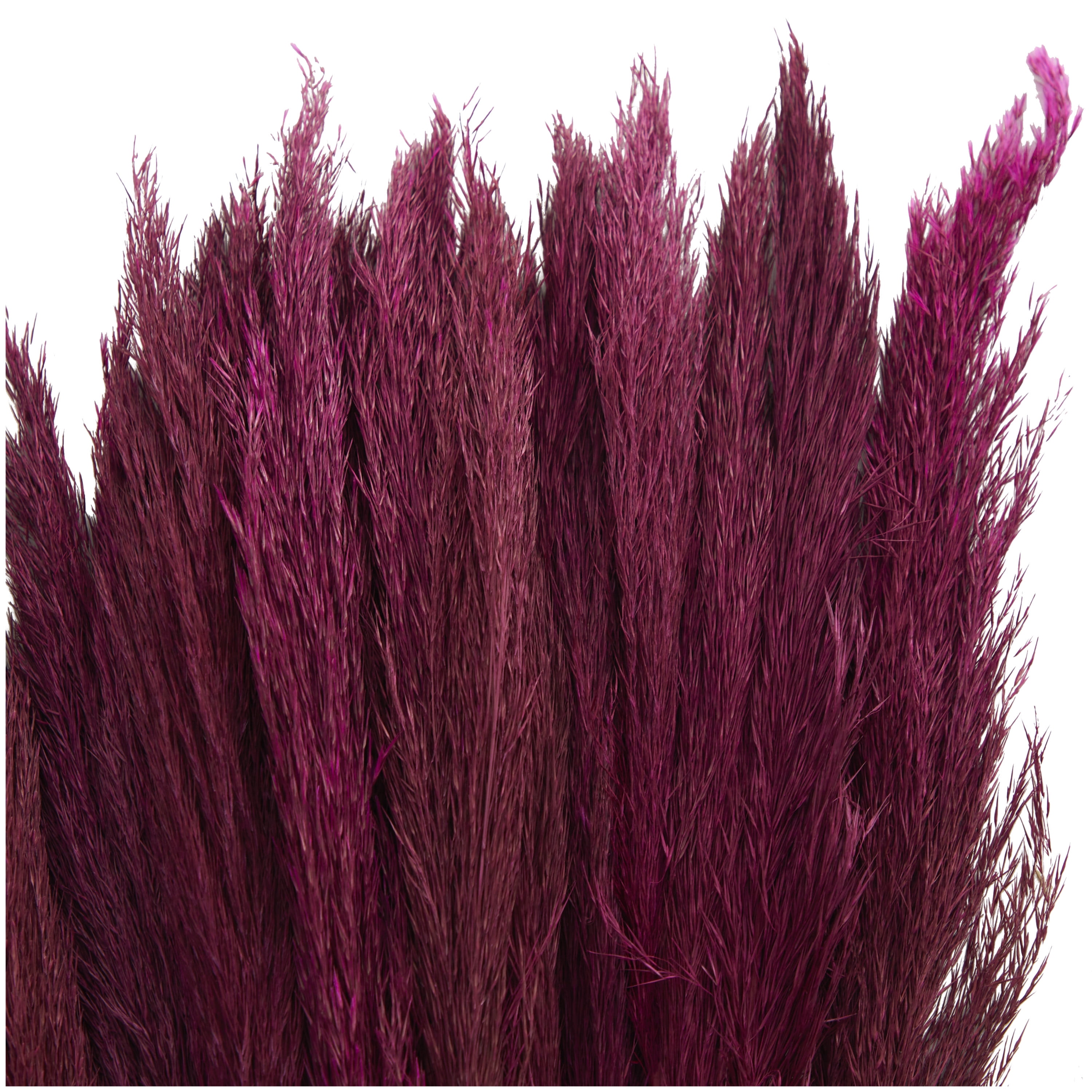 35" Dried Plant Natural Foliage Pampas Bouquet with Long Stems, by DecMode