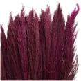 thumbnail image 4 of 35" Dried Plant Natural Foliage Pampas Bouquet with Long Stems, by DecMode, 4 of 8
