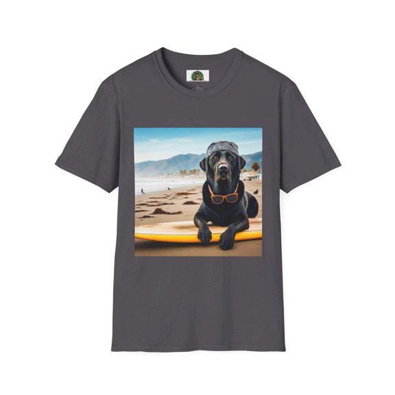Labrador Retrievers
